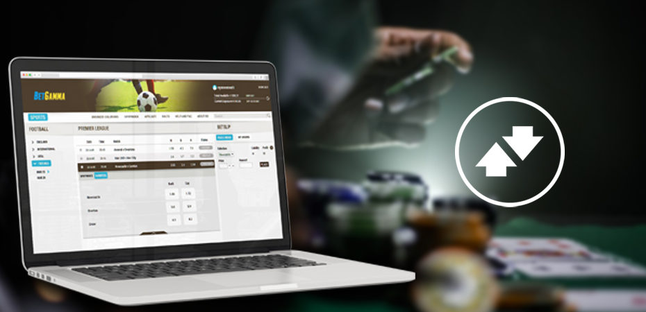 The top Swissbet Betting exchange software features